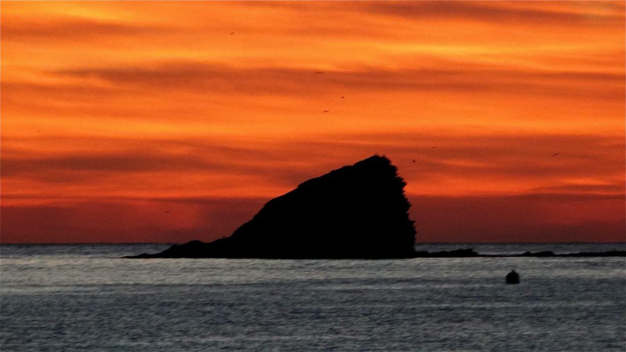 Es Volca Lägenhet Cadaqués Exteriör bild